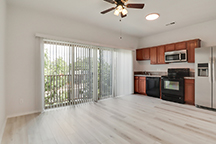 apartment 204